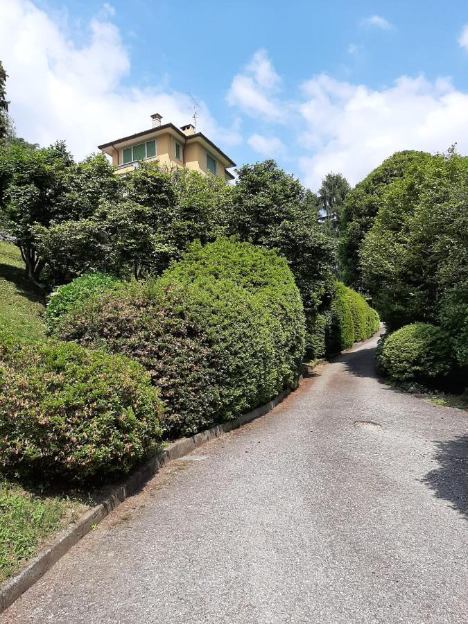 בלגירטה Bmp Apartment Gioiosa 2 Giardino Vista Lago Maggiore מראה חיצוני תמונה